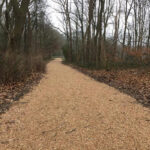 Kleischelpen - Afbeelding 2