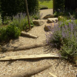 Kleischelpen - Afbeelding 3