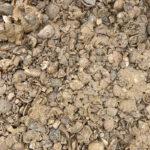 Kleischelpen - Afbeelding 4