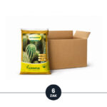 Florentus potgrond voor cactus en vetplanten 5L - 6 zakken
