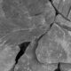 Canadian Slate Zwart 60-180 mm met platte leisteenstukken in donkere kleur.
