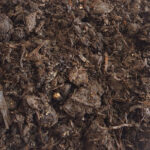 Champost - Afbeelding 2