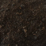 Rhododendrongrond - Afbeelding 2