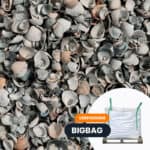 Schelpen Blauw/Grijs (Waddenzee)