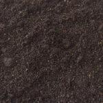 wormengrond - Afbeelding 2