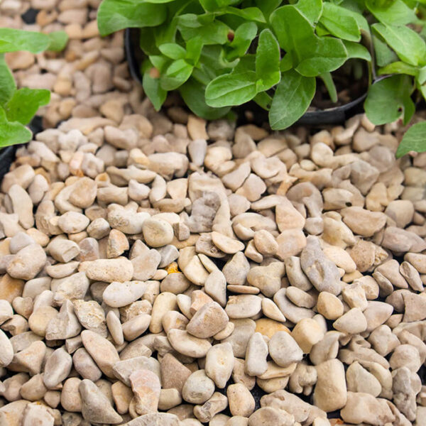 Castle grind 14–20 mm aangelegd als siertoepassing in tuinpad