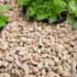 Castle grind 14–20 mm aangelegd als siertoepassing in tuinpad