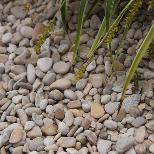 Castle grind 5–8 mm aangelegd tussen bestrating en beplanting.