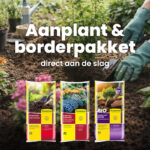 Aanplant & borderpakket