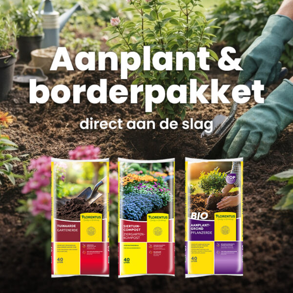 Aanplant & borderpakket