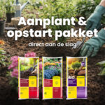 Aanplant en opstart pakket