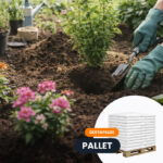 Aanplant en opstart pakket - Afbeelding 2