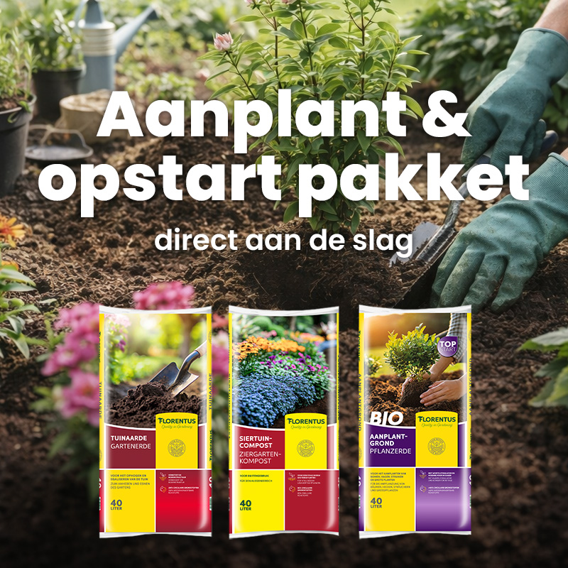 Aanplant & opstart pakket Aanplant en opstart pakket - Afbeelding 1