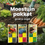 Moestuinpakket