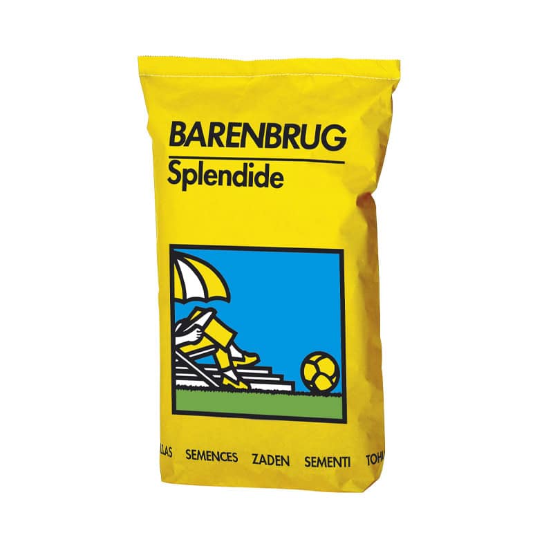 Recreatiemengsel Splendide R1 Barenbrug Recreatiemengsel graszaad voor een sterk en onderhoudsvriendelijk gazon.
