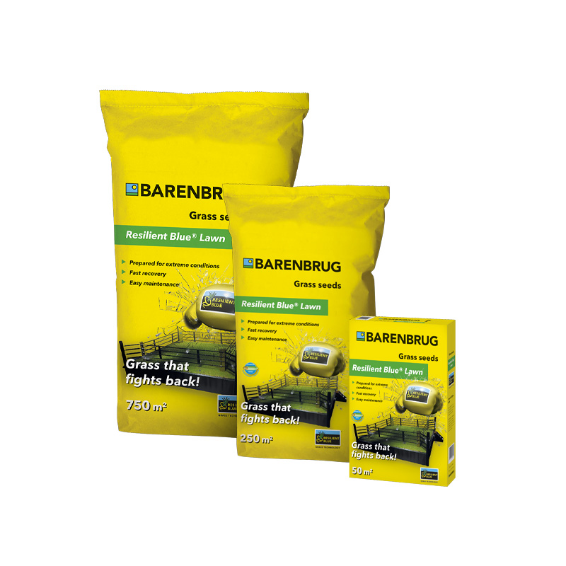 Resilient Blue Lawn Barenbrug Resilient Blue Lawn graszaad voor een sterk en veerkrachtig gazon.