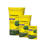 Schaduwgazon graszaad voor sterke grasgroei op schaduwrijke plekken in de tuin.