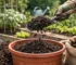 Welke compost voor je moestuin werkt echt?