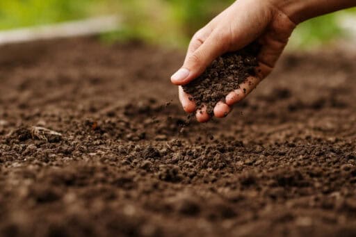 Bodem verbeteren tuin met organisch materiaal voor betere structuur en groei.