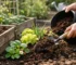 Compost gebruiken in moestuin: zo doe je dat
