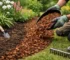 Hoe border mulchlaag aanbrengen zonder fouten