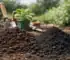 Tuinaarde of zwarte grond kiezen?