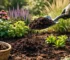 Compost voor border voor sterke beplanting