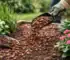 Hoeveel cacaodoppen per border heb je nodig?