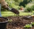 Wanneer compost uitstrooien in de tuin?