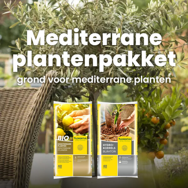 Mediterrane plantenpakket