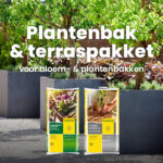 Plantenbak & terraspakket