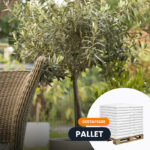 Mediterrane plantenpakket - Afbeelding 2