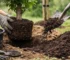 Gids voor bomengrond gebruiken bij aanplant