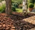 Gids voor boomschorssoorten in je tuin