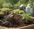 Teelaarde gebruiken voor een gezonde moestuin