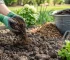 Gids voor kleigrond verbeteren in je tuin