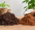 Biobased potgrond versus kokosvezel kiezen