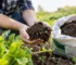 Biologische meststof ervaringen uit de praktijk