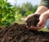 Tuinaarde ervaringen: zo herken je kwaliteit